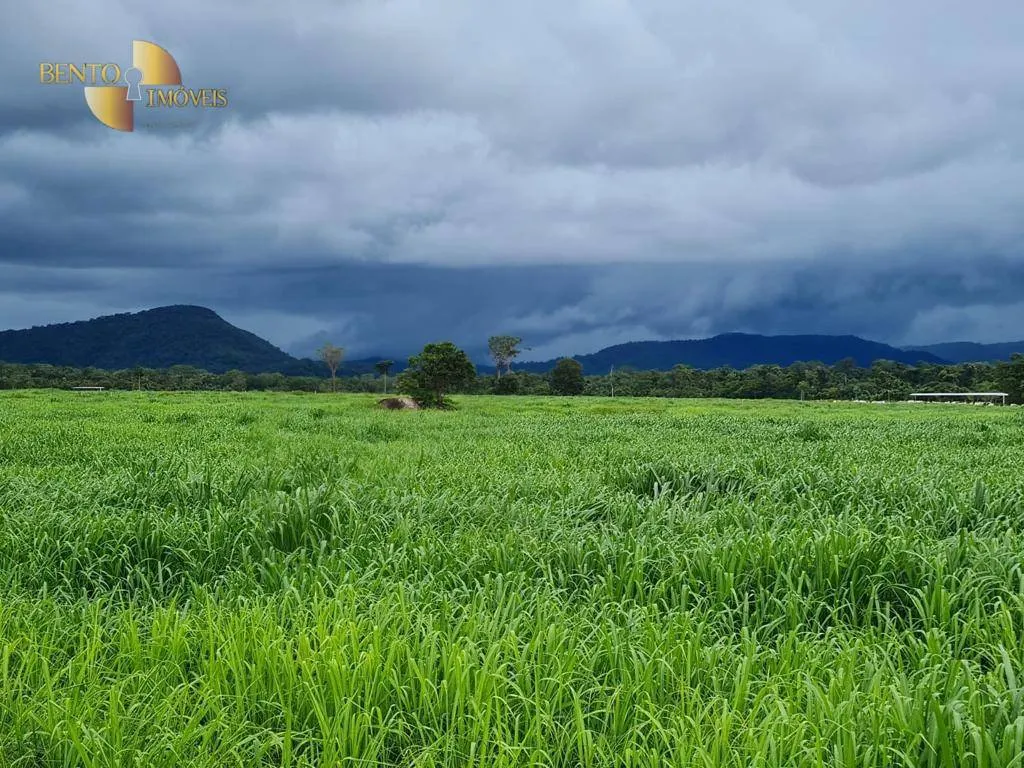Fazenda à venda de 968 ha em Confresa, MT, Brasil