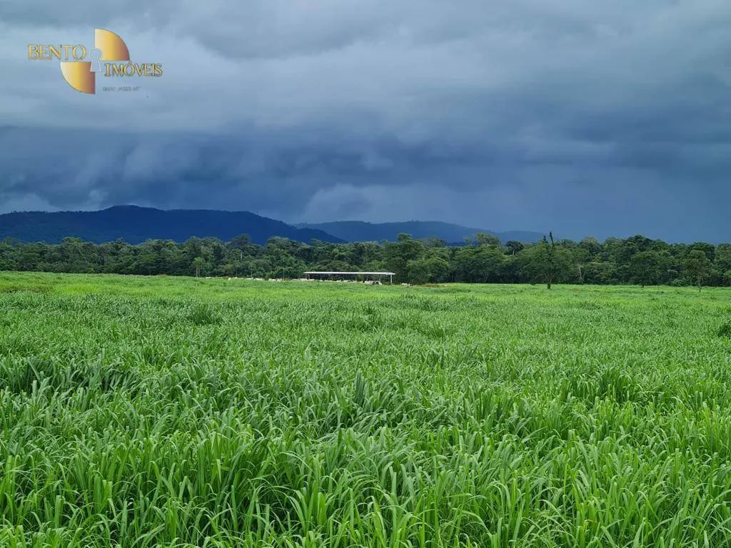 Fazenda à venda de 968 ha em Confresa, MT, Brasil