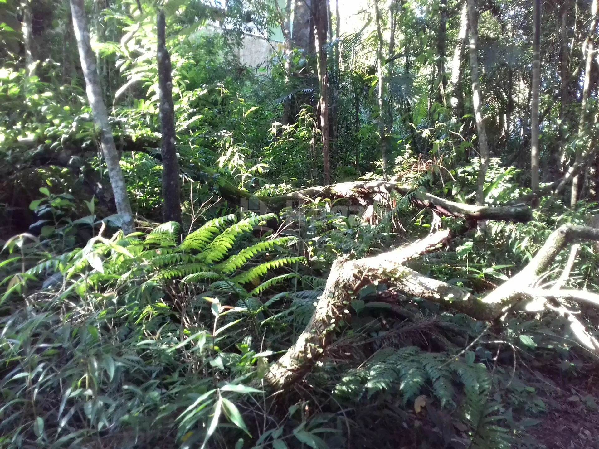 Plot for sale of 450 m² in Brusque, SC, Brazil
