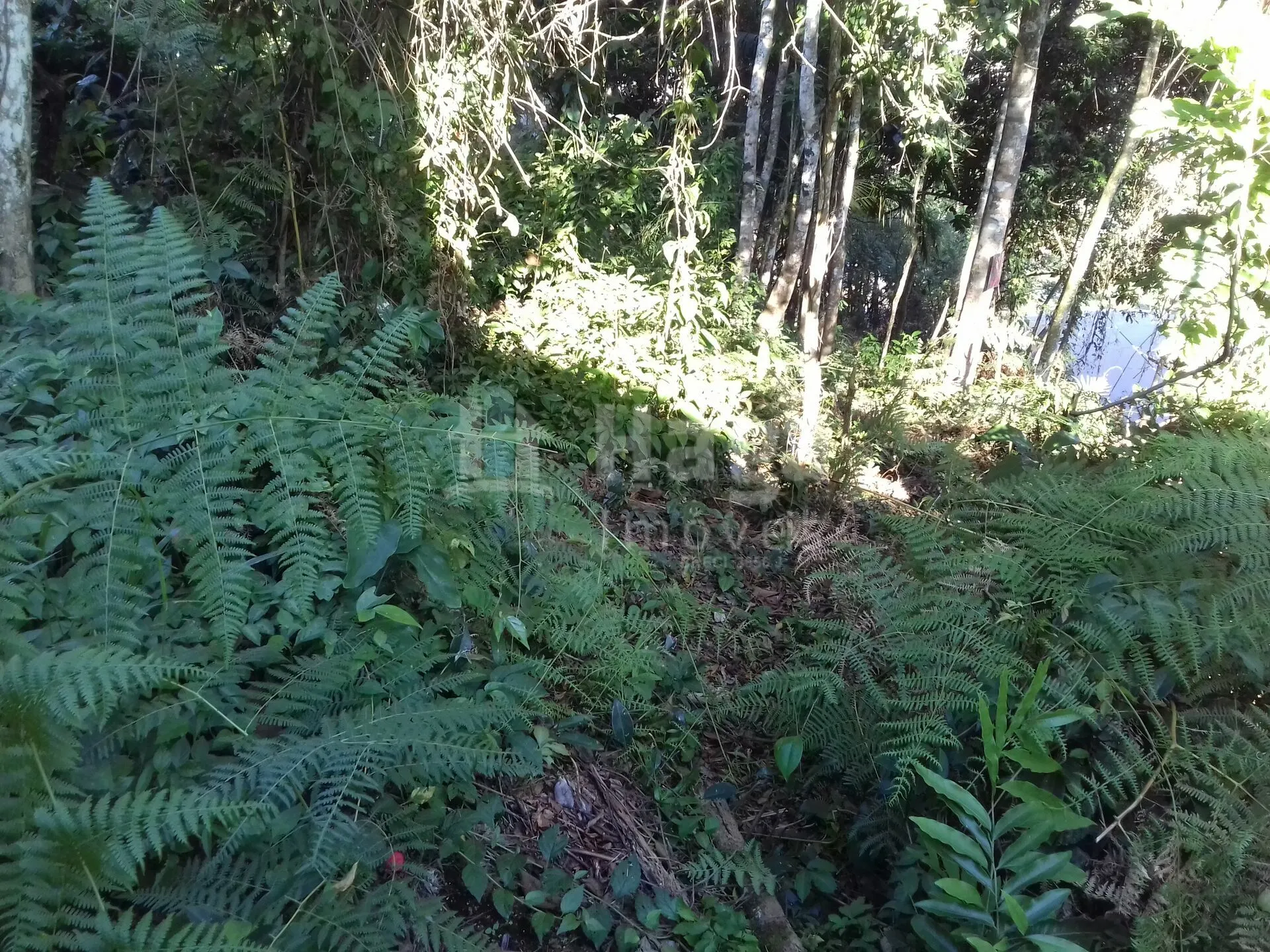 Plot for sale of 450 m² in Brusque, SC, Brazil