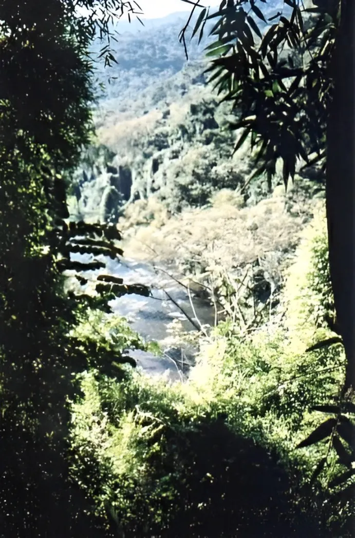 Fazenda à venda de 808 ha em Iporanga, SP, Brasil