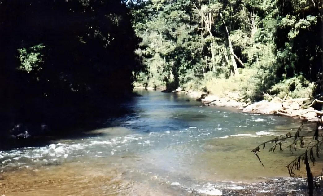 Fazenda à venda de 808 ha em Iporanga, SP, Brasil