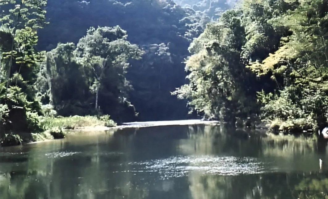 Fazenda à venda de 808 ha em Iporanga, SP, Brasil