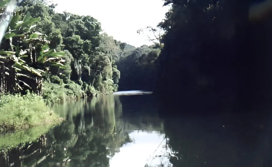 Fazenda à venda de 808 ha em Iporanga, SP, Brasil