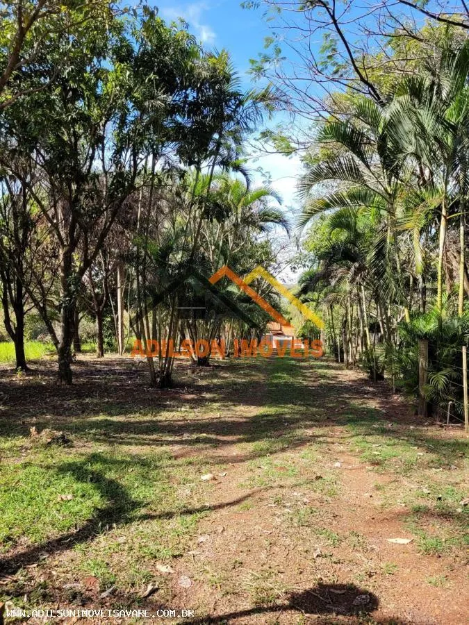 Farm for sale of 6,919 acres in Cerqueira César, SP, Brazil