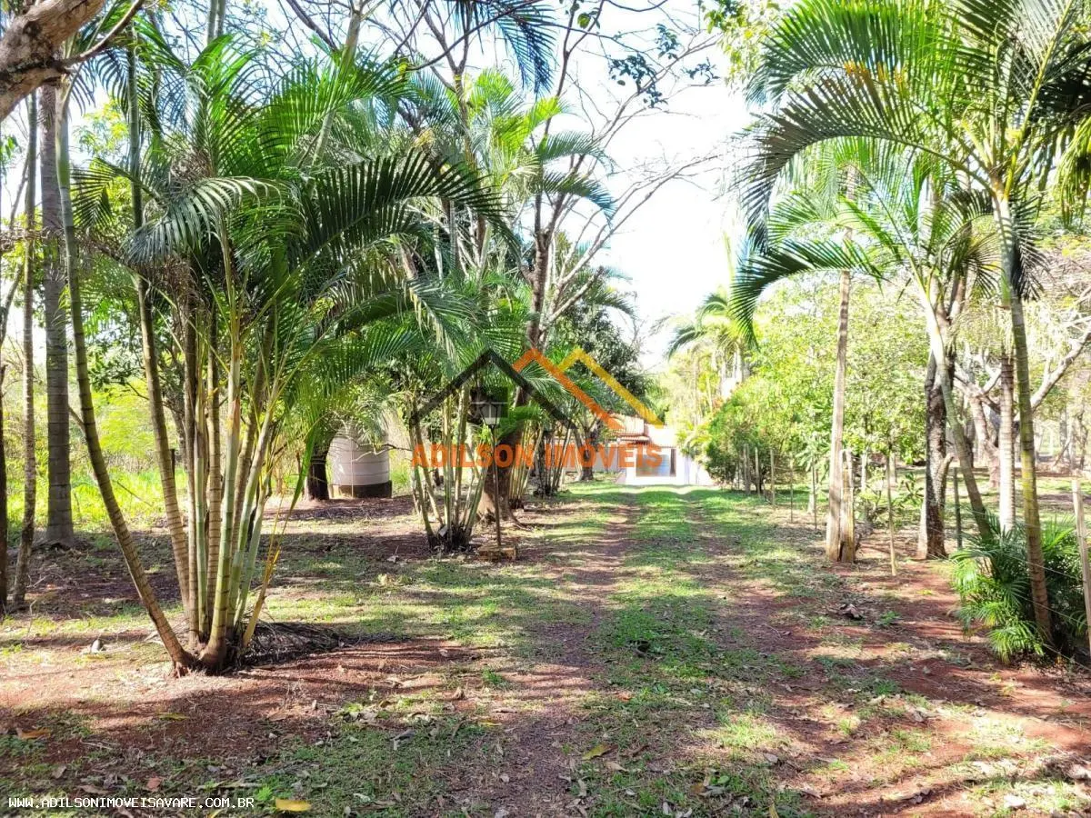Farm for sale of 6,919 acres in Cerqueira César, SP, Brazil