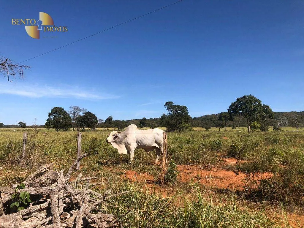 Fazenda à venda de 1.613 ha em Cáceres, MT, Brasil