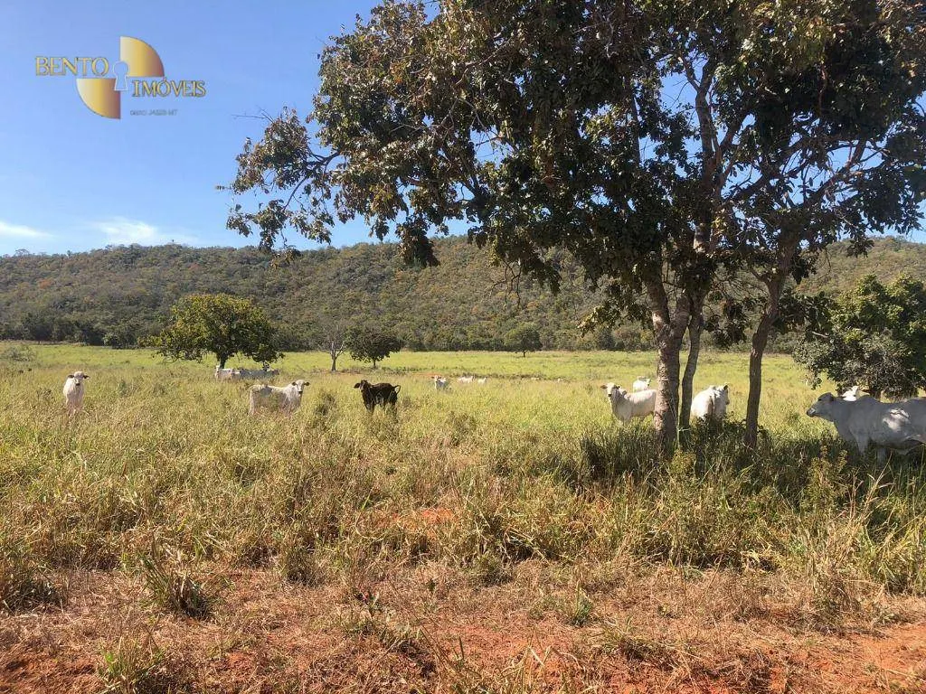 Fazenda à venda de 1.613 ha em Cáceres, MT, Brasil