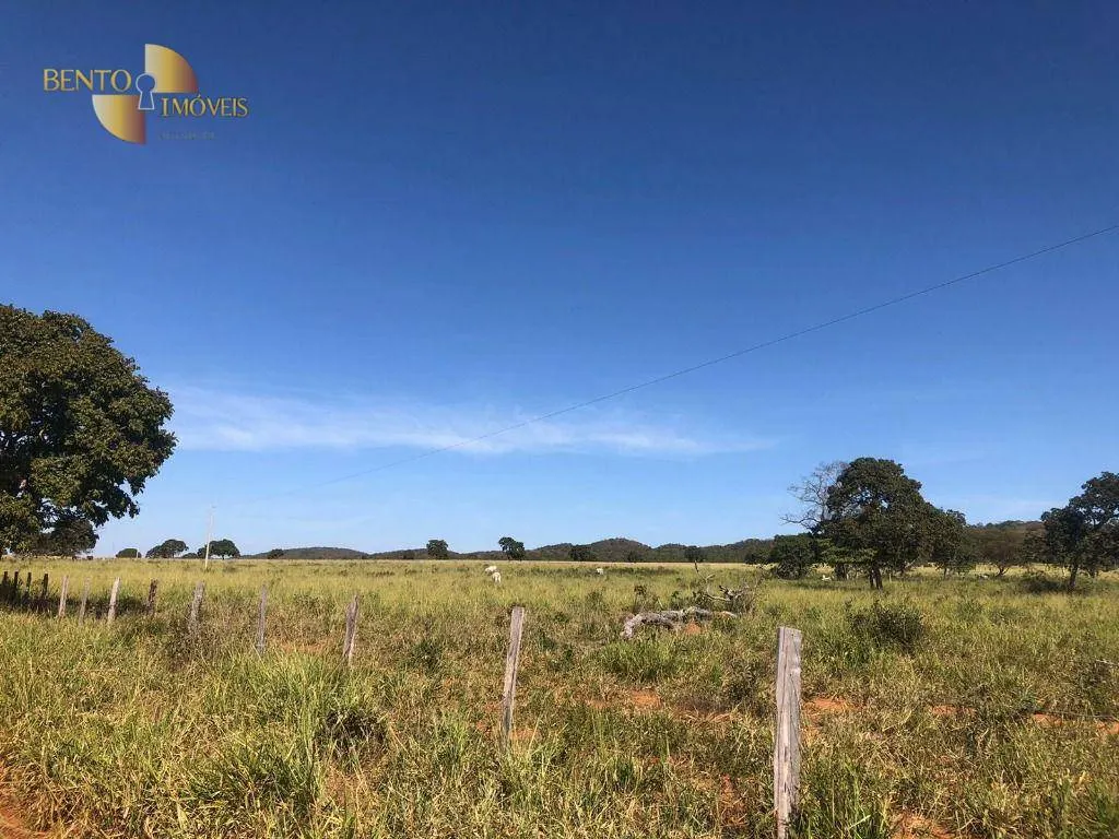 Fazenda à venda de 1.613 ha em Cáceres, MT, Brasil