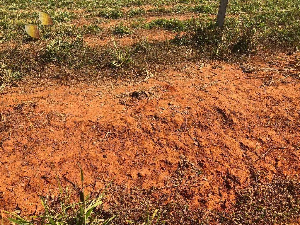 Fazenda à venda de 1.613 ha em Cáceres, MT, Brasil