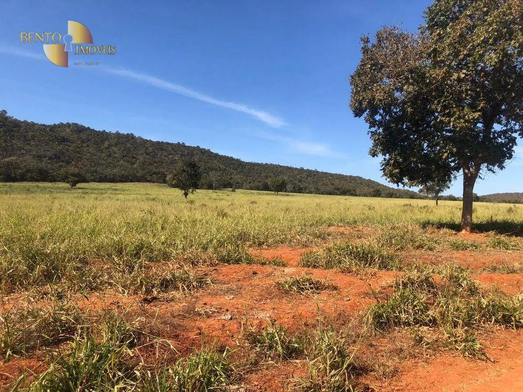 Fazenda à venda de 1.613 ha em Cáceres, MT, Brasil
