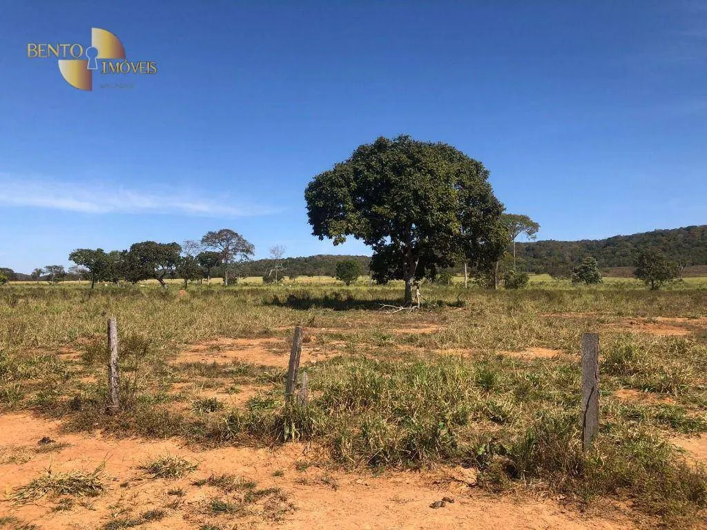 Fazenda à venda de 1.613 ha em Cáceres, MT, Brasil