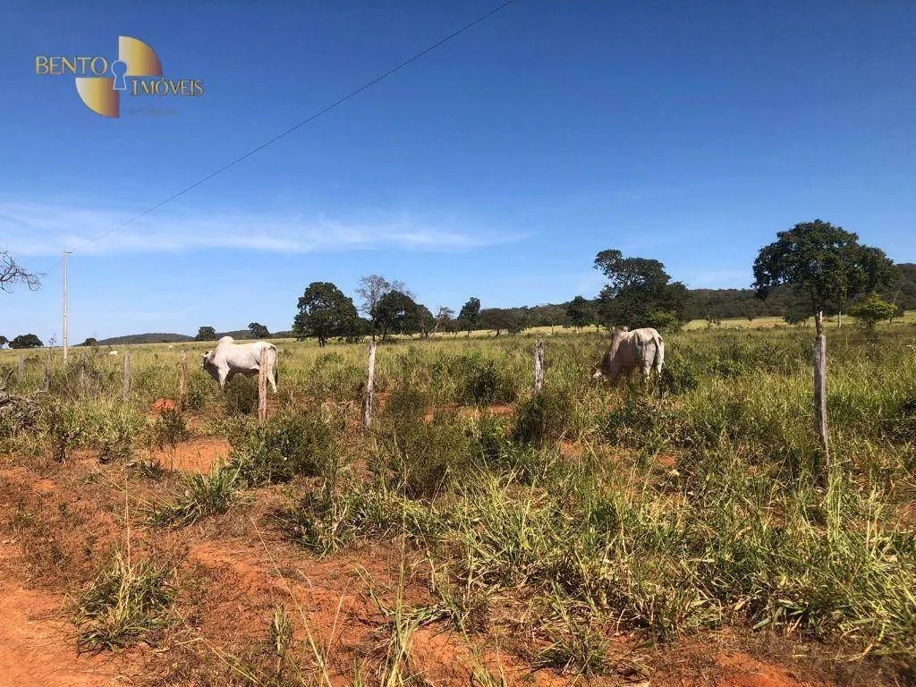 Fazenda à venda de 1.613 ha em Cáceres, MT, Brasil