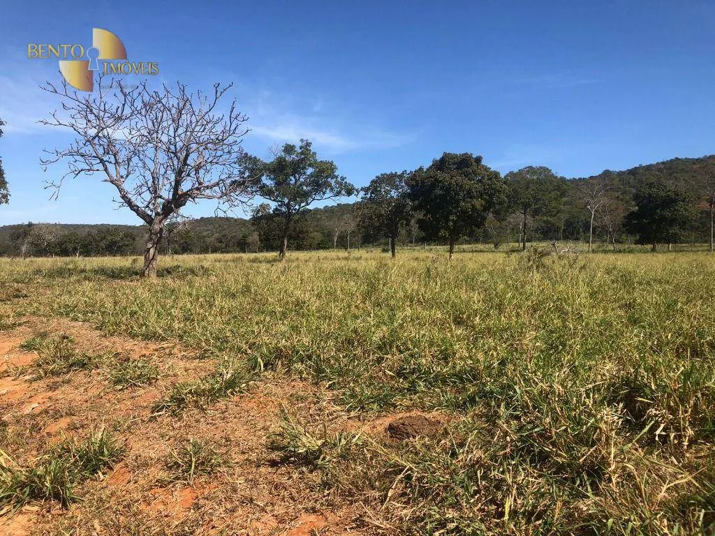 Fazenda à venda de 1.613 ha em Cáceres, MT, Brasil