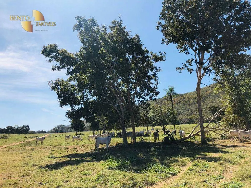 Fazenda à venda de 1.613 ha em Cáceres, MT, Brasil