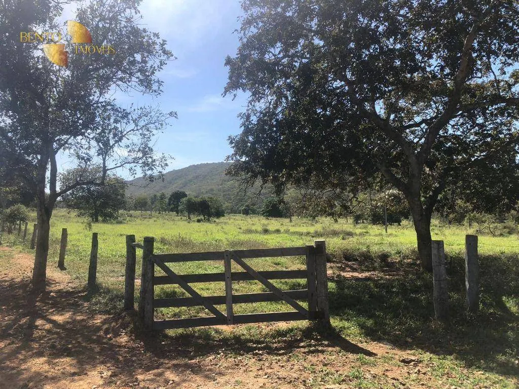 Fazenda à venda de 1.613 ha em Cáceres, MT, Brasil