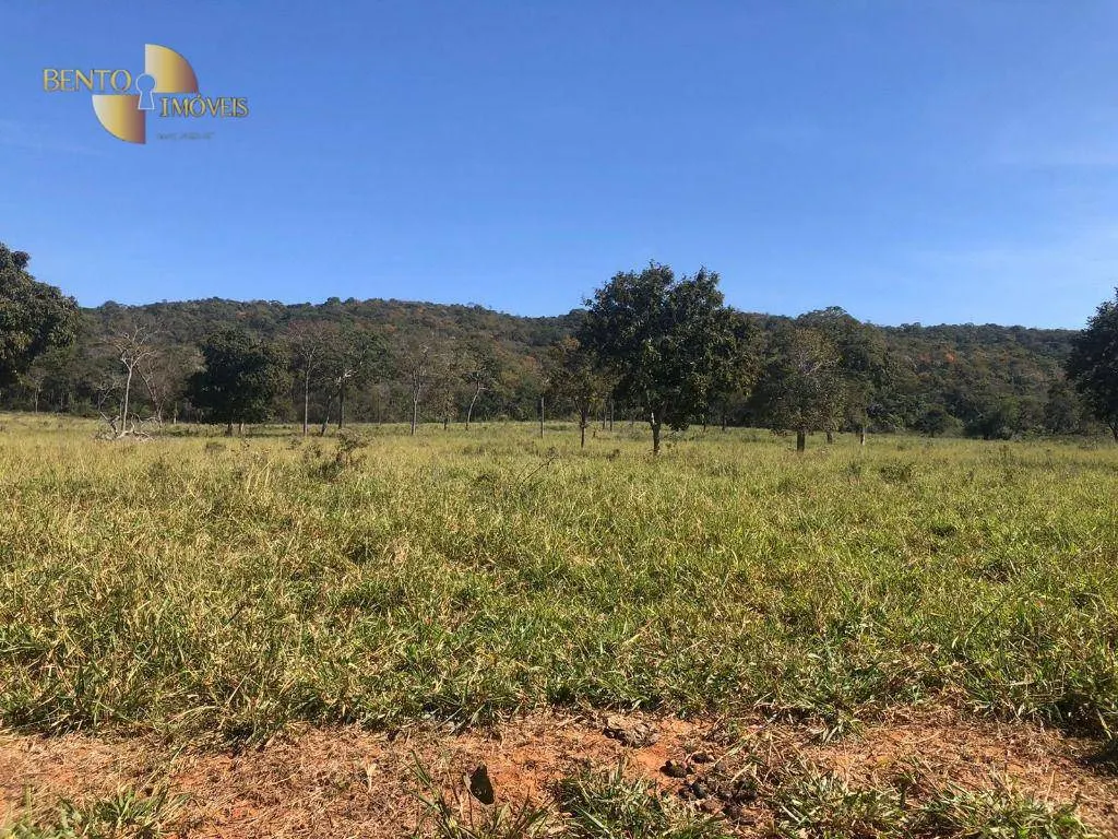 Fazenda à venda de 1.613 ha em Cáceres, MT, Brasil