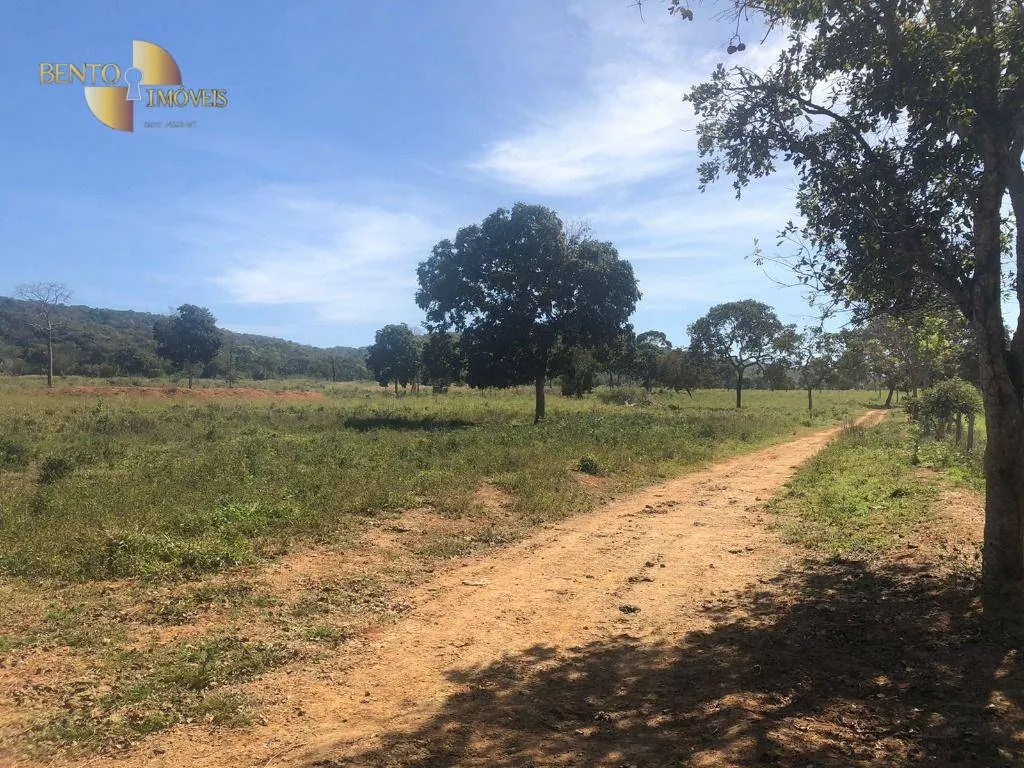 Fazenda à venda de 1.613 ha em Cáceres, MT, Brasil