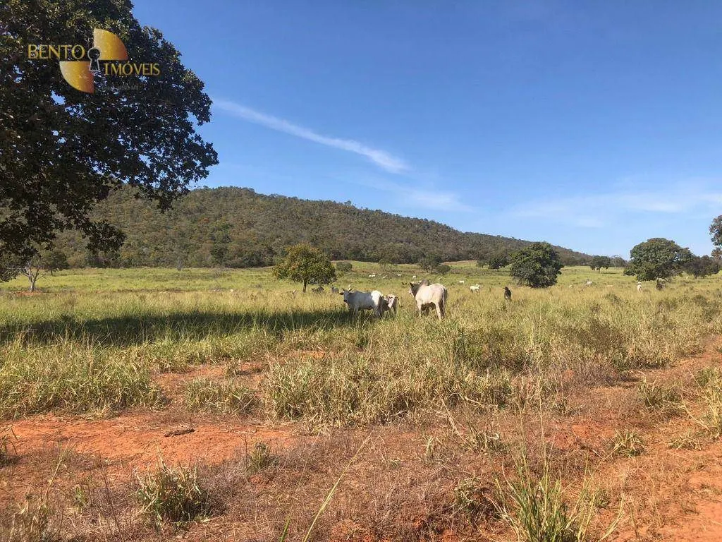 Fazenda à venda de 1.613 ha em Cáceres, MT, Brasil