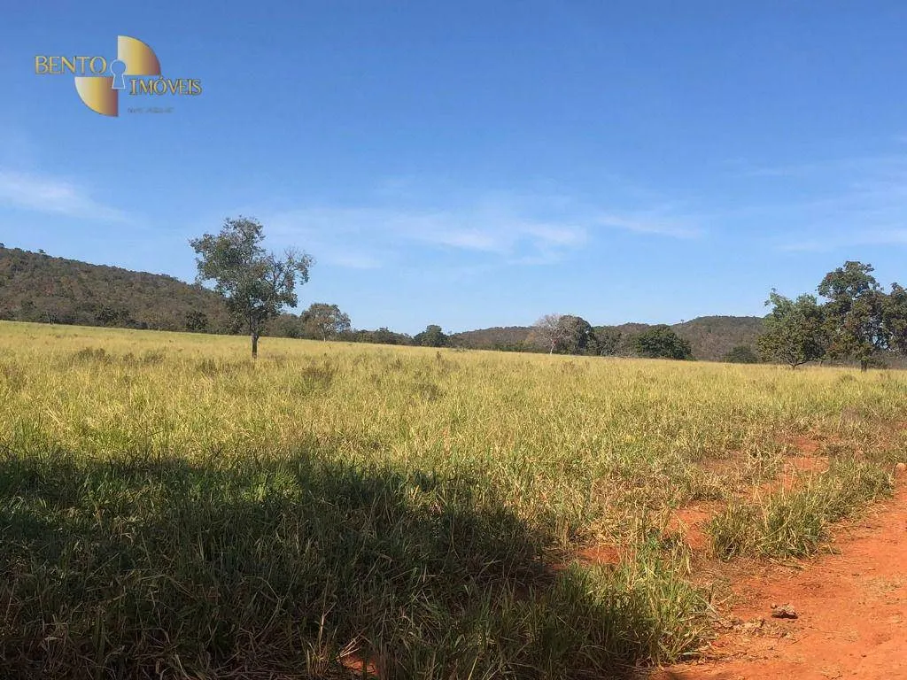 Fazenda à venda de 1.613 ha em Cáceres, MT, Brasil