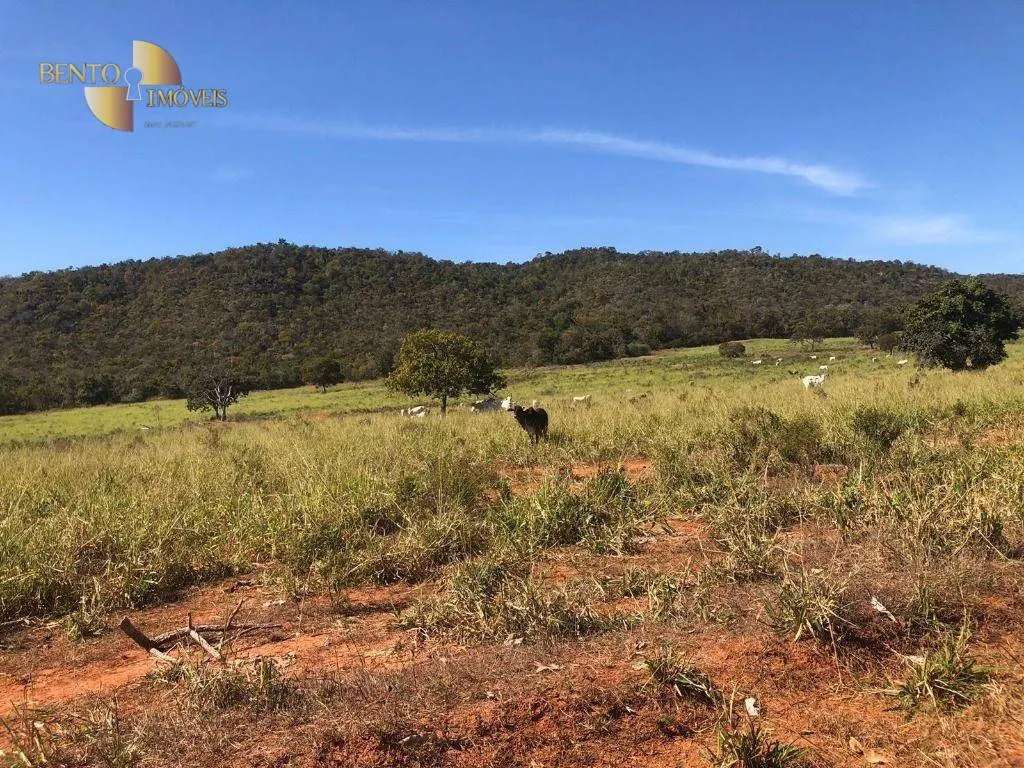 Fazenda à venda de 1.613 ha em Cáceres, MT, Brasil
