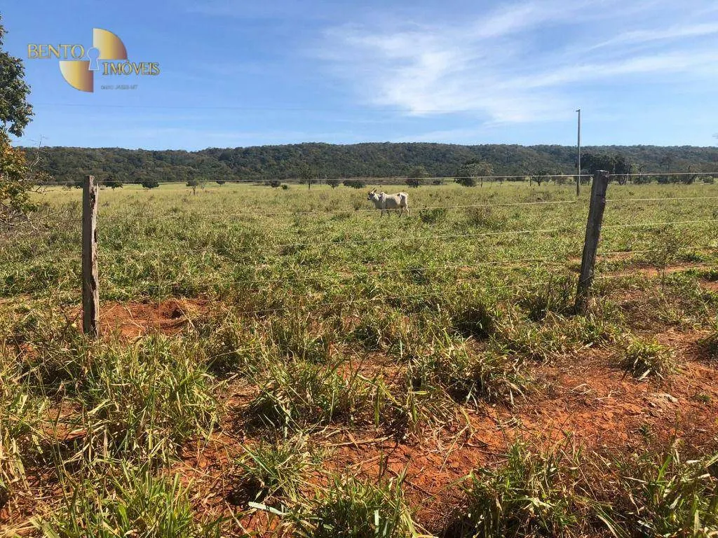 Fazenda à venda de 1.613 ha em Cáceres, MT, Brasil