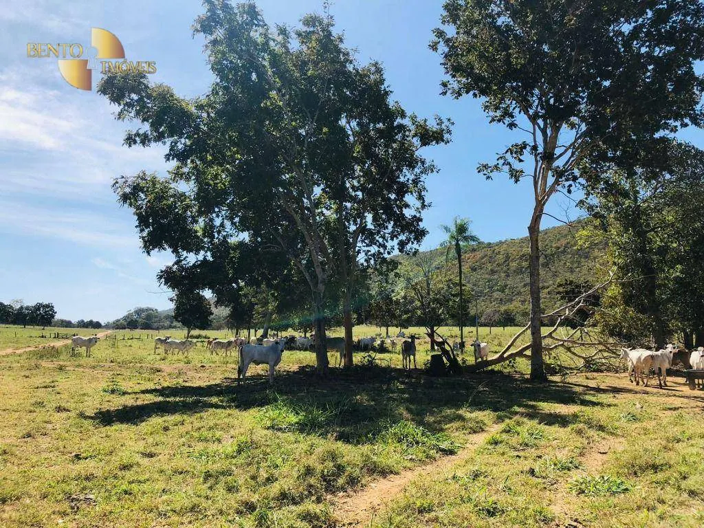 Fazenda à venda de 1.613 ha em Cáceres, MT, Brasil