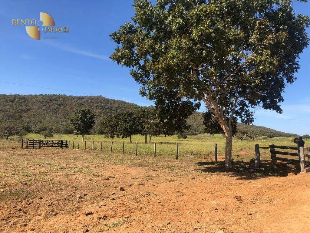 Fazenda à venda de 1.613 ha em Cáceres, MT, Brasil