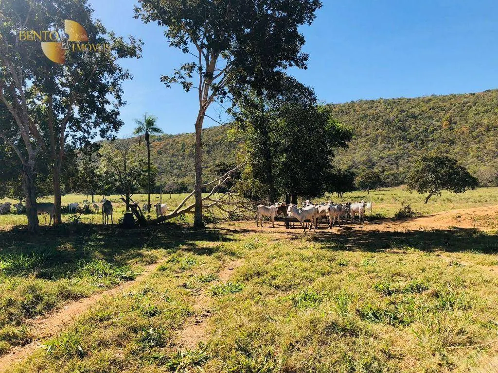 Fazenda à venda de 1.613 ha em Cáceres, MT, Brasil