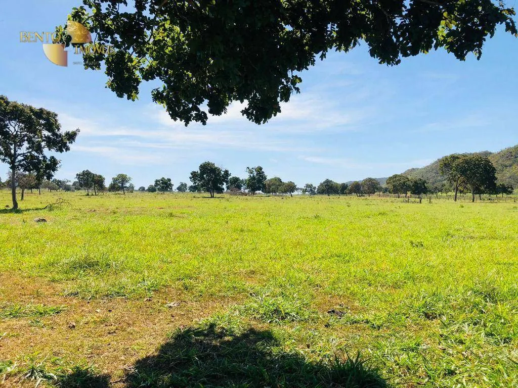 Fazenda à venda de 1.613 ha em Cáceres, MT, Brasil