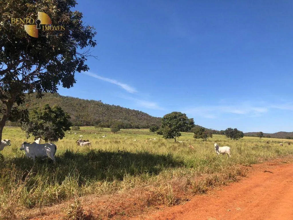 Fazenda à venda de 1.613 ha em Cáceres, MT, Brasil
