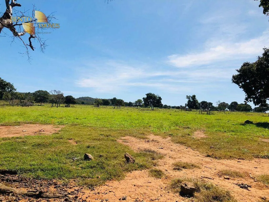 Fazenda à venda de 1.613 ha em Cáceres, MT, Brasil