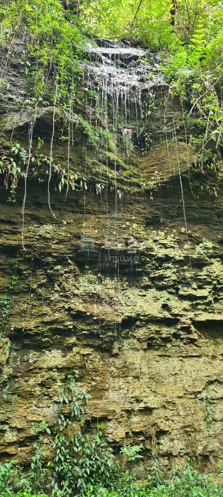 Chácara à venda de 15 ha em Alfredo Wagner, SC, Brasil