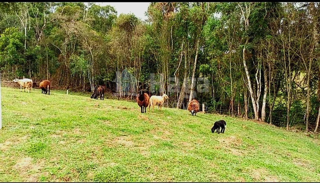 Chácara à venda de 15 ha em Alfredo Wagner, SC, Brasil