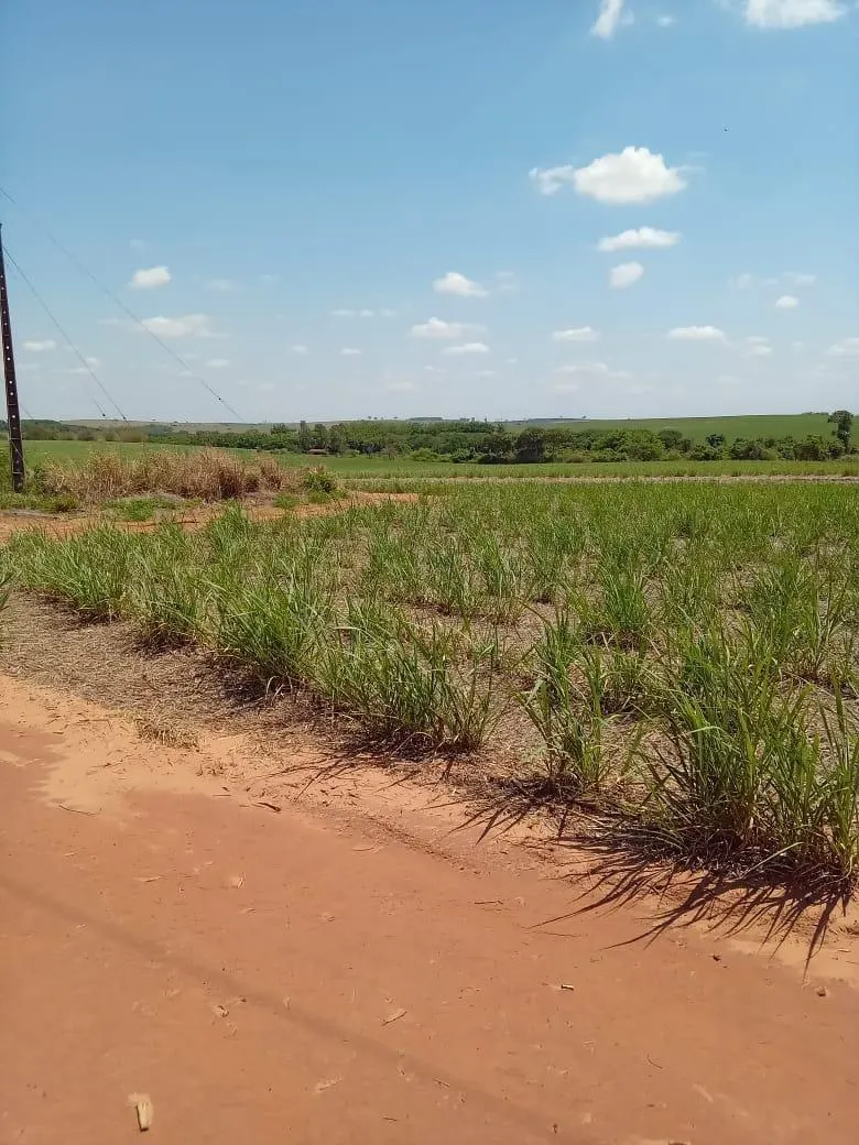 Fazenda à venda de 169 ha em Cafelândia, SP, Brasil