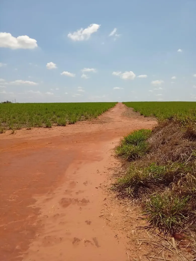 Fazenda à venda de 169 ha em Cafelândia, SP, Brasil