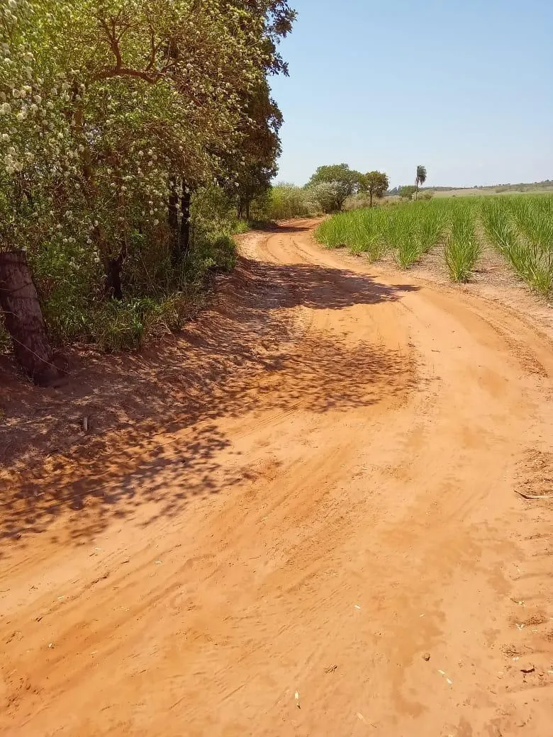 Fazenda à venda de 169 ha em Cafelândia, SP, Brasil
