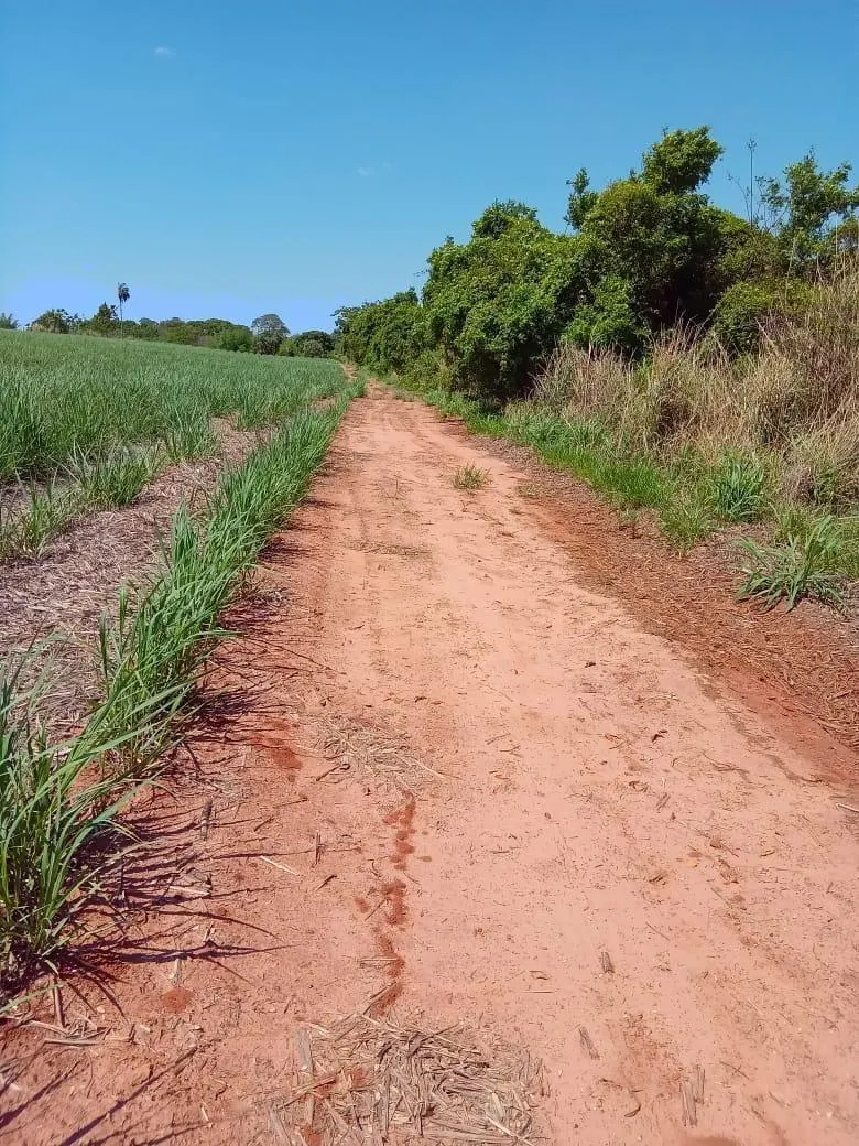 Fazenda à venda de 169 ha em Cafelândia, SP, Brasil