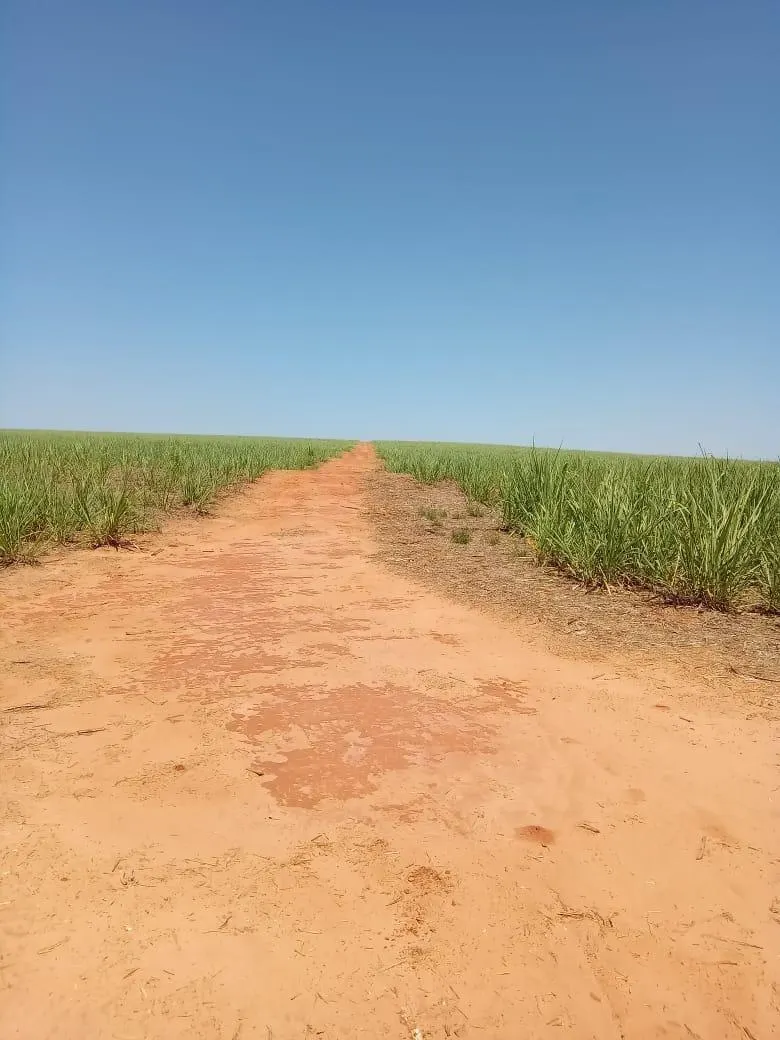 Fazenda à venda de 169 ha em Cafelândia, SP, Brasil