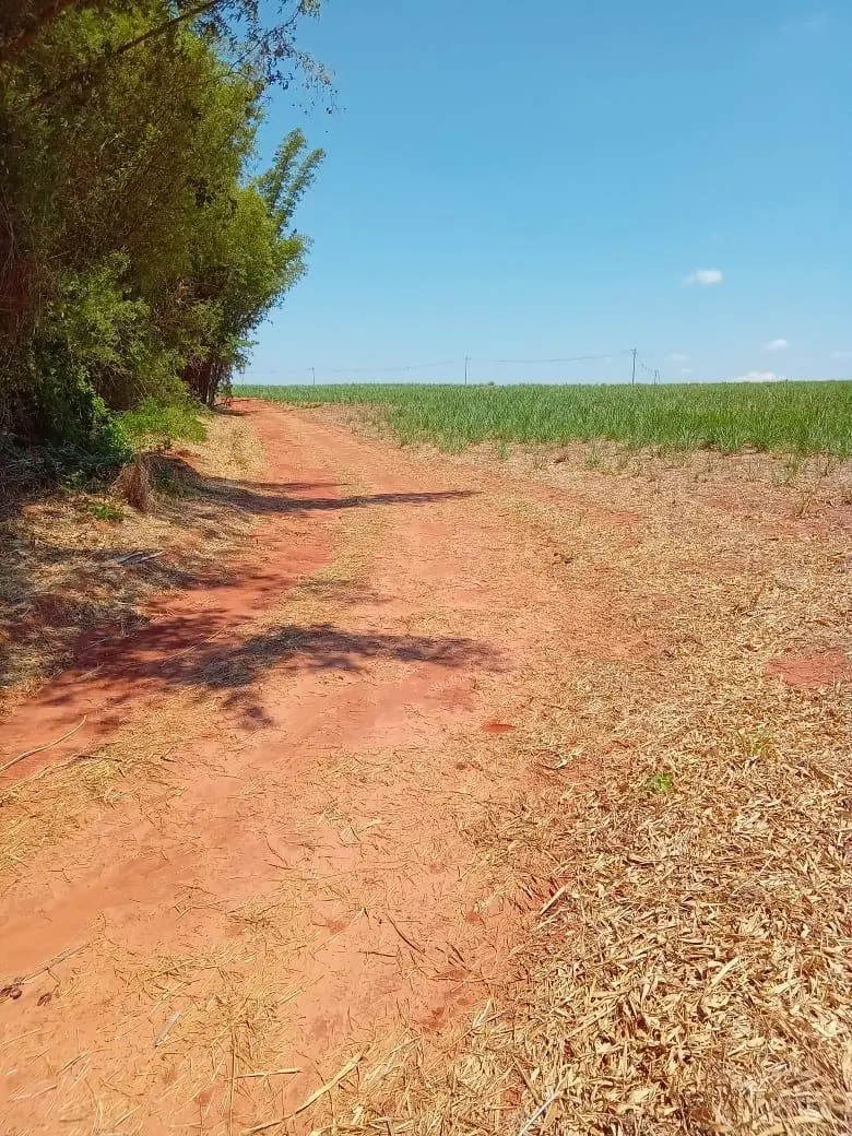 Fazenda à venda de 169 ha em Cafelândia, SP, Brasil