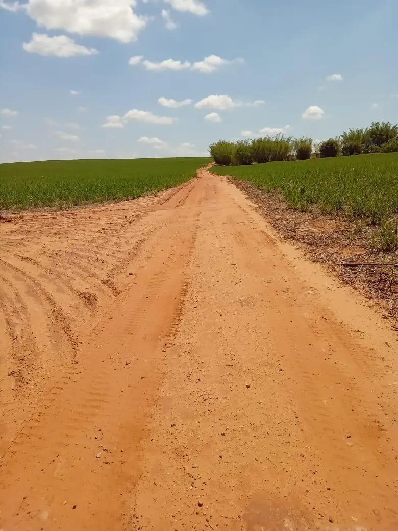 Fazenda à venda de 169 ha em Cafelândia, SP, Brasil