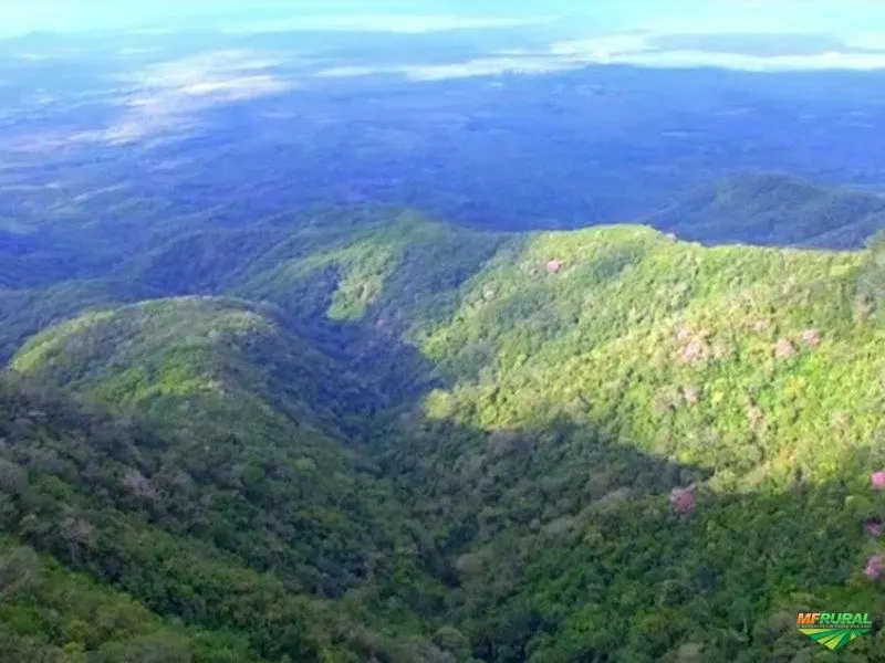 Terreno à venda de 4.100 ha em Viçosa do Ceará, CE, Brasil