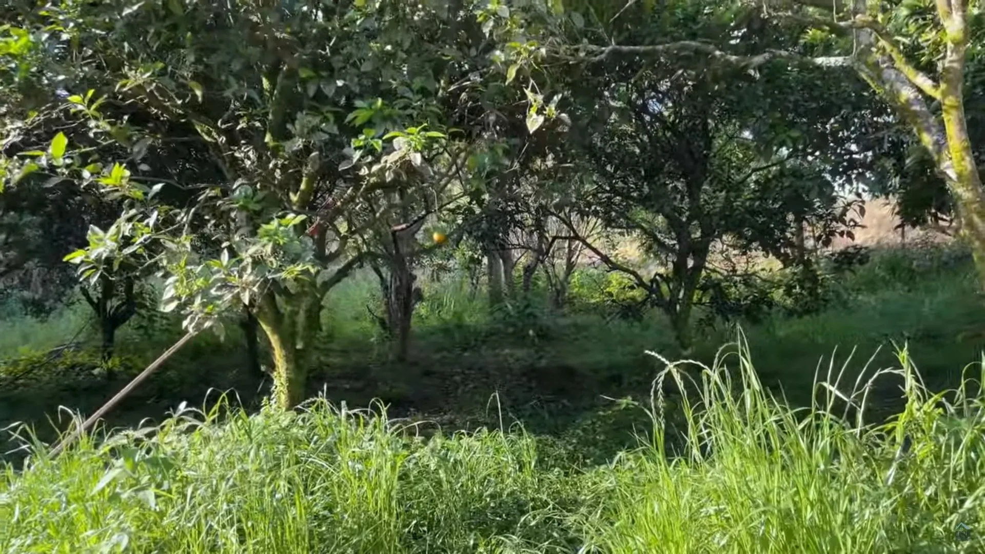 Chácara à venda de 9 ha em Caraá, RS, Brasil