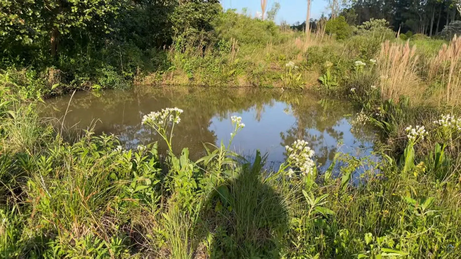 Chácara à venda de 9 ha em Caraá, RS, Brasil