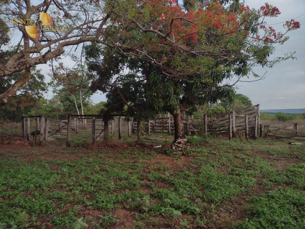 Farm for sale of 1,853 acres in Guiratinga, MT, Brazil