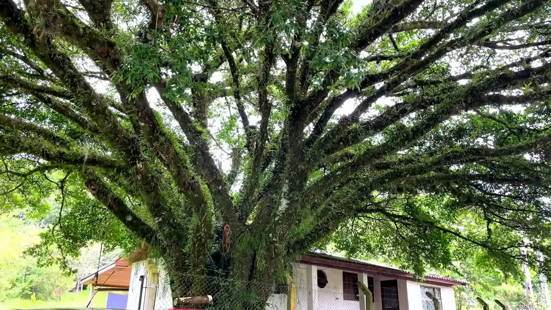 Country home for sale of 2 acres in Caraá, RS, Brazil