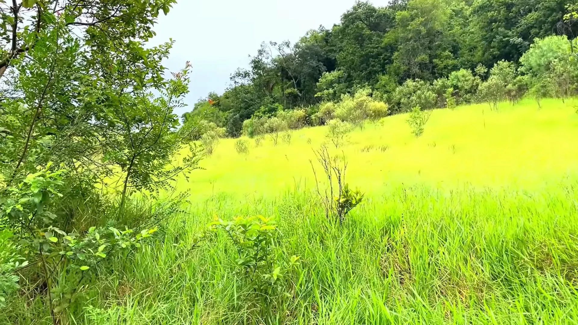 Country home for sale of 2 acres in Caraá, RS, Brazil