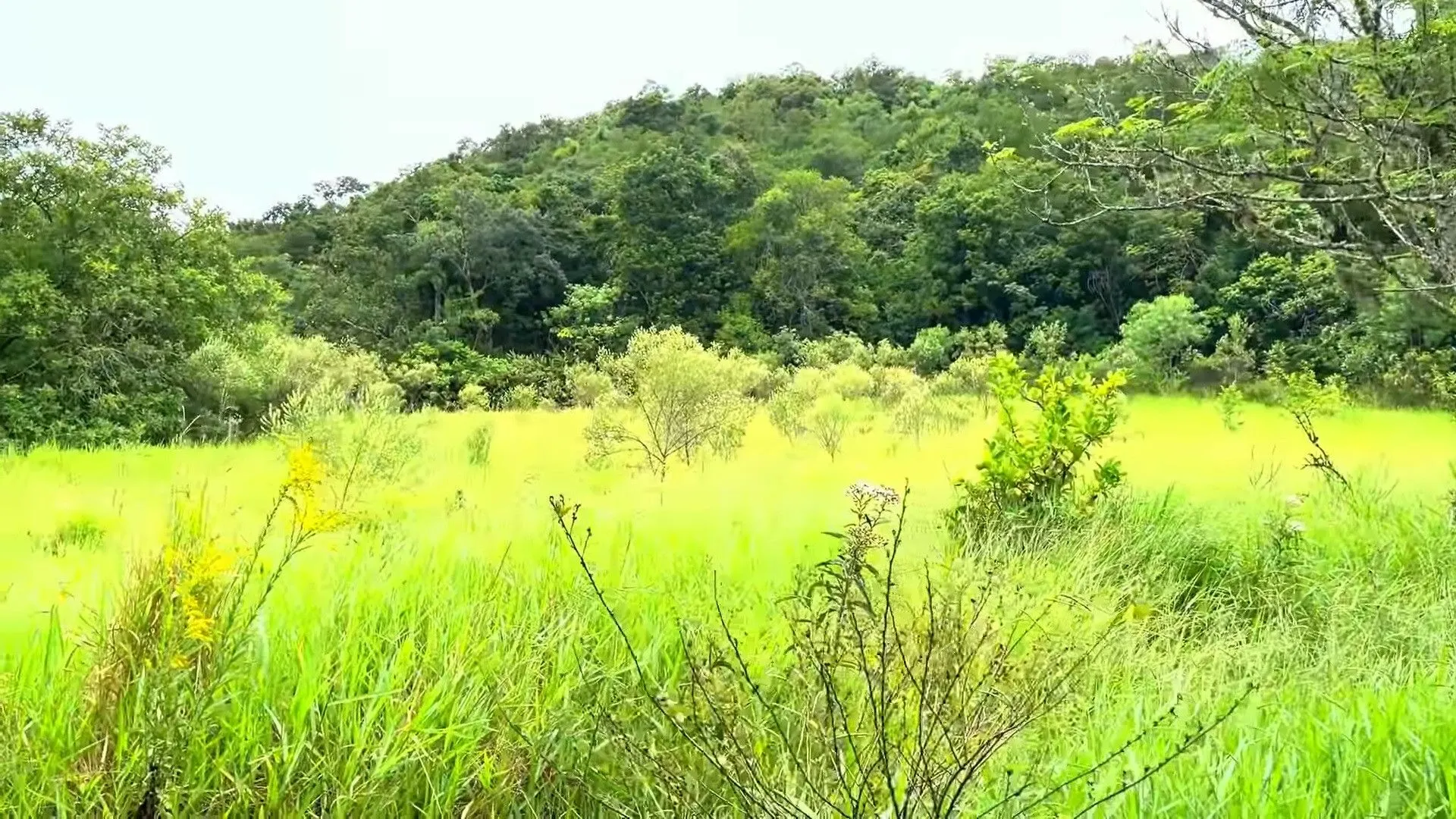 Country home for sale of 2 acres in Caraá, RS, Brazil