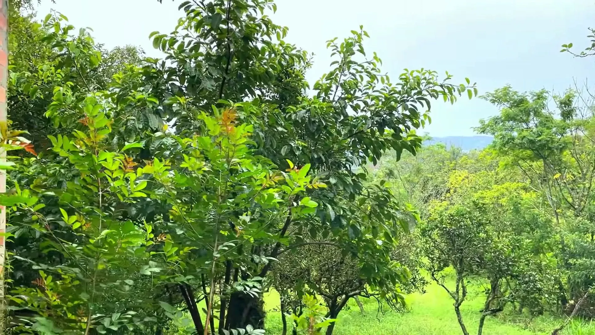 Country home for sale of 2 acres in Caraá, RS, Brazil