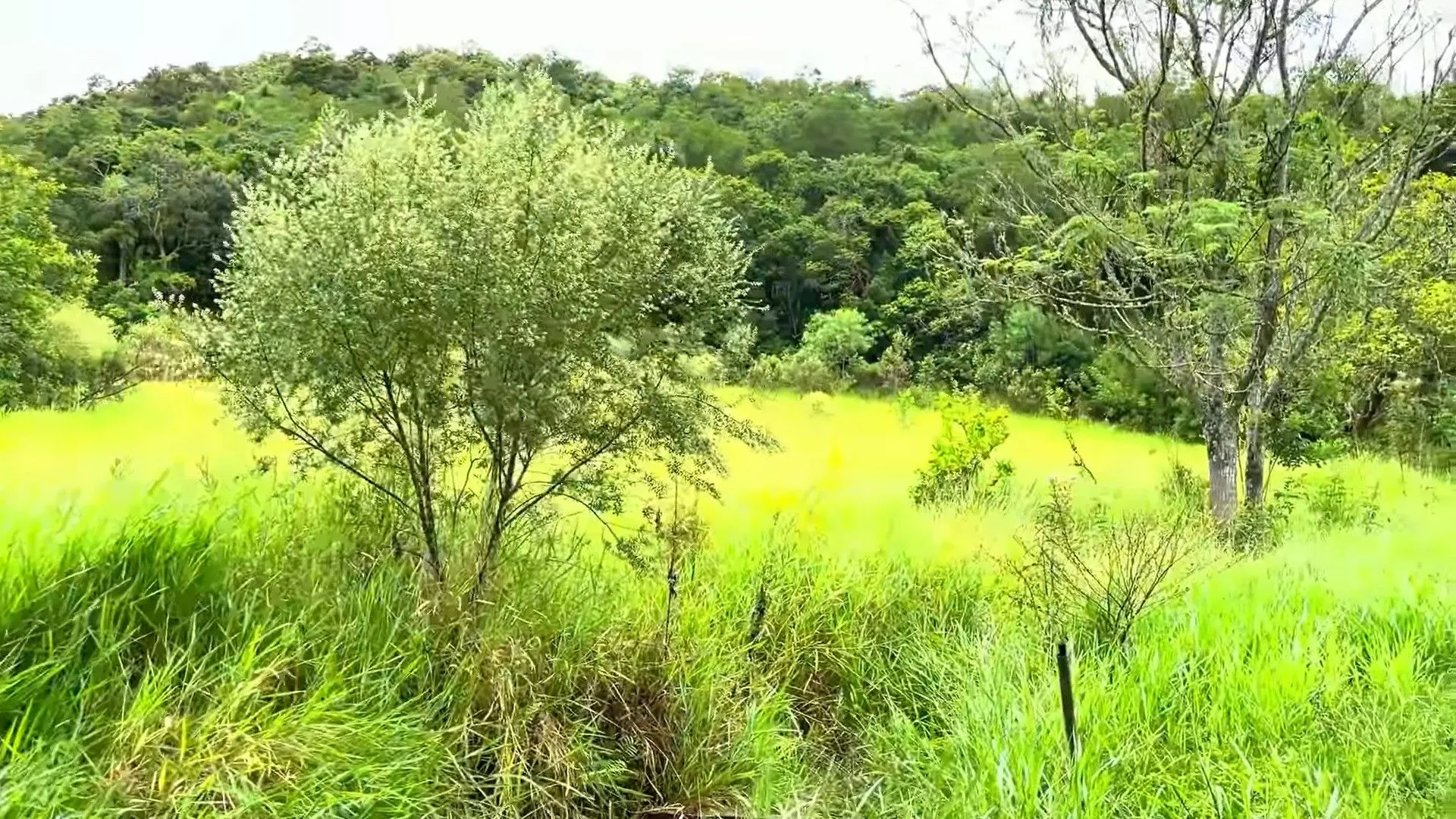 Country home for sale of 2 acres in Caraá, RS, Brazil